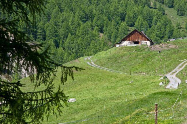 Alp Es-Cha Dadour Bed and Breakfast Madulain Εξωτερικό φωτογραφία